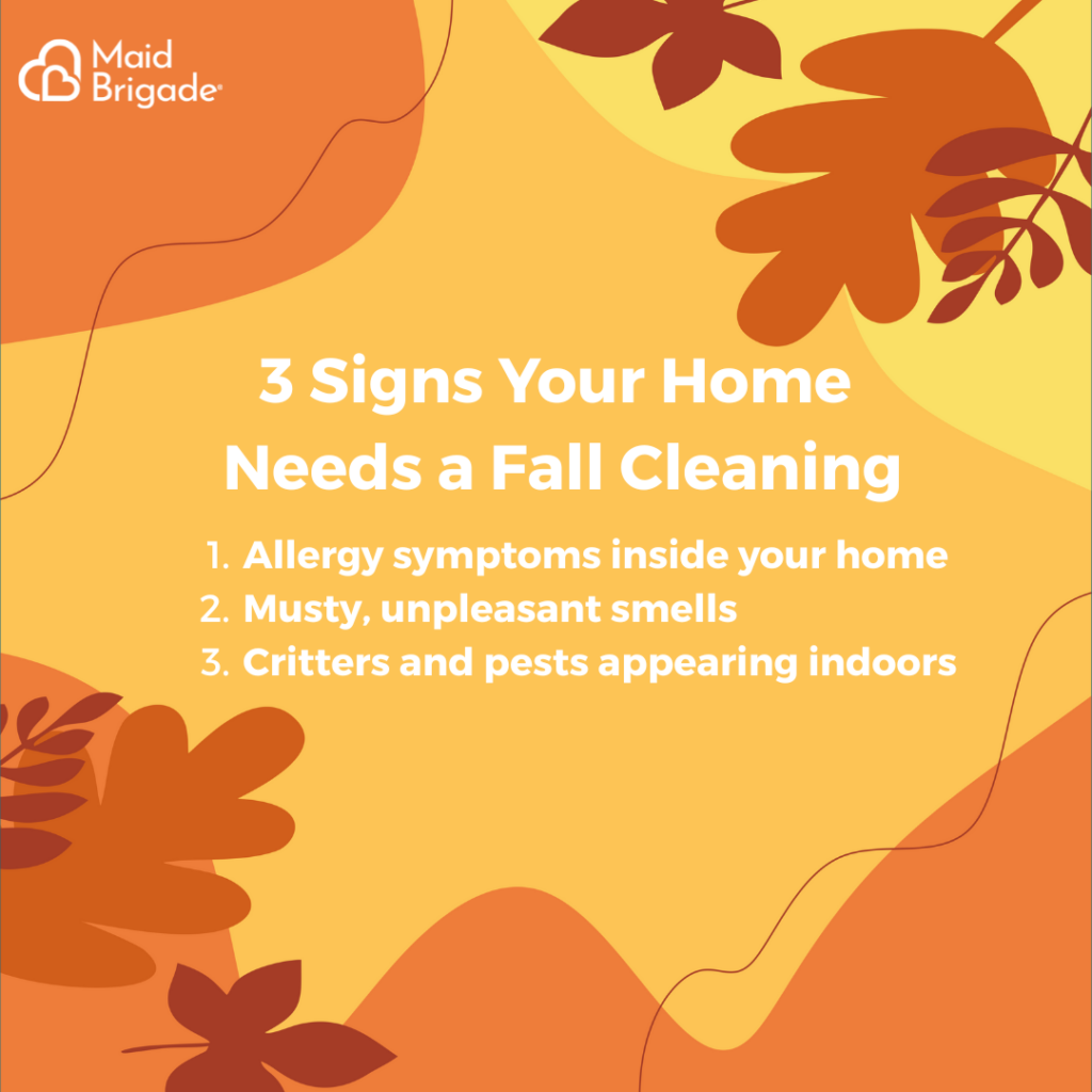 3 signs your home needs a fall cleaning. Number 1, Allergy symptoms inside your home, Number 2, Musty unpleasant smells, Number 3, Critters and pests appearing indoors