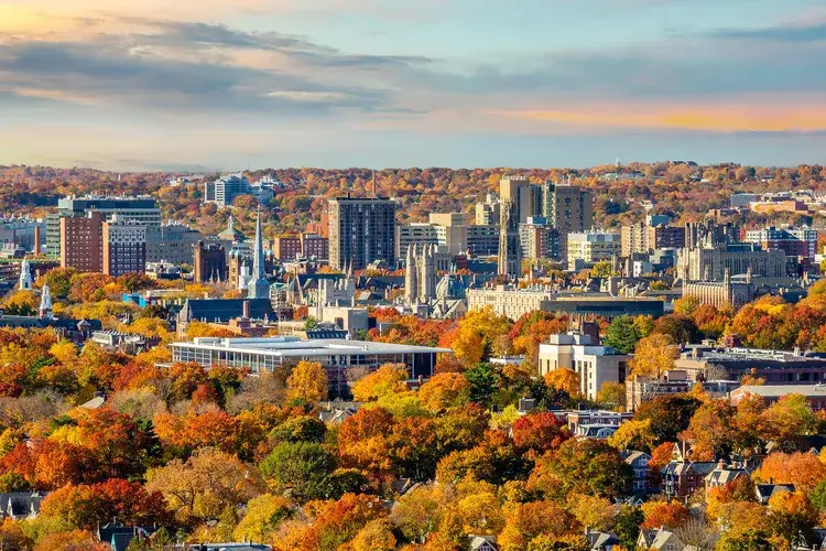 New Haven County