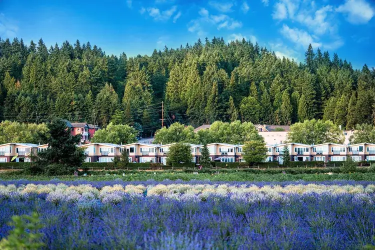 Woodinville WA