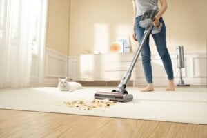 how do you clean your house with pets